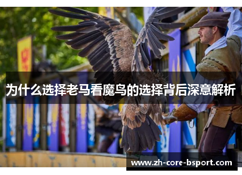 为什么选择老马看魔鸟的选择背后深意解析