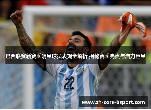 巴西联赛新赛季明星球员表现全解析 揭秘赛季亮点与潜力巨星