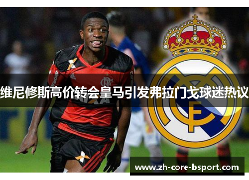 维尼修斯高价转会皇马引发弗拉门戈球迷热议 维尼修斯高价转会皇马引发弗拉门戈球迷热议